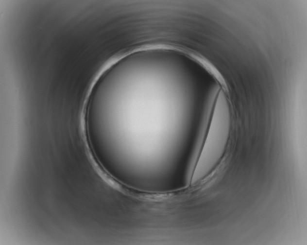 X0000116150813200911231330