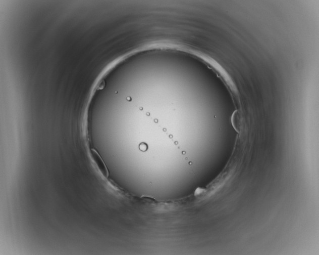 X0000116150815200911231330