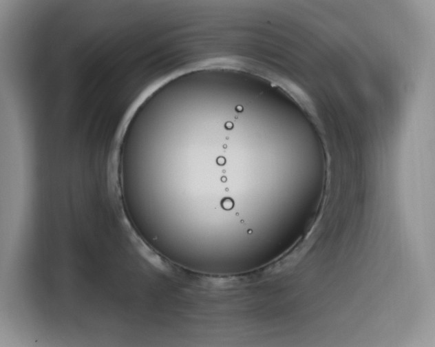 X0000116150816200911231330