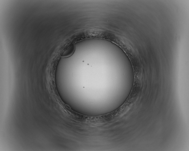 X0000116150817200911231329