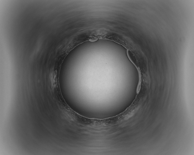 X0000116150818200911231329