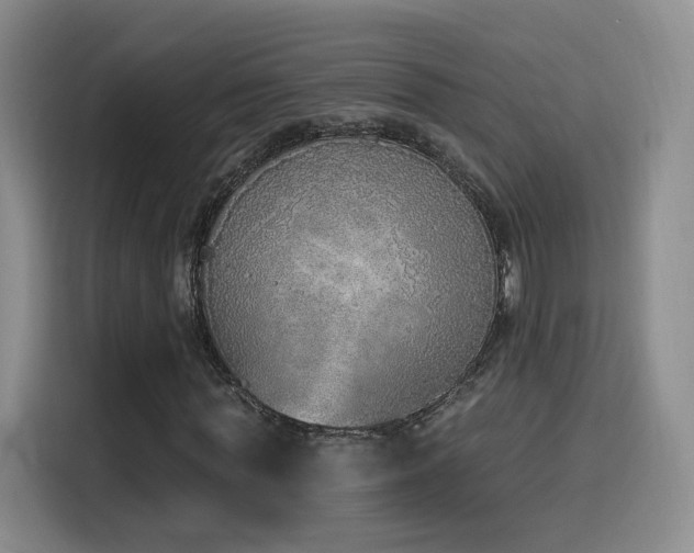 X0000116150819200911231329