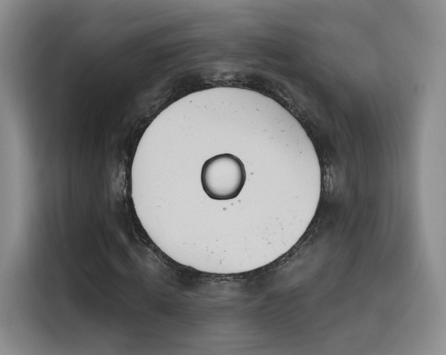 X0000116150820200911231329