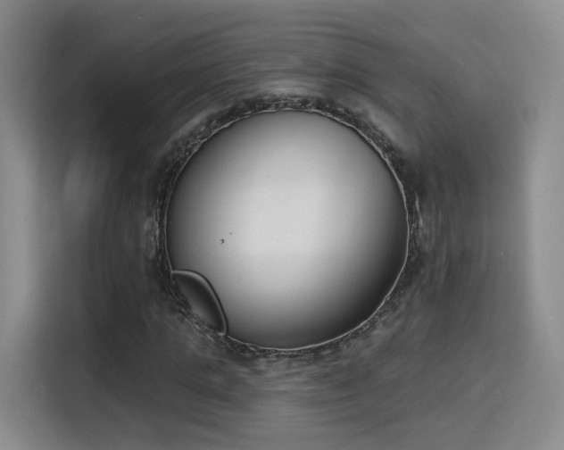 X0000116150821200911231329