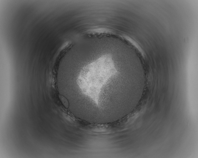 X0000116150823200911231329