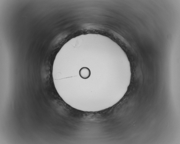 X0000116150824200911231329