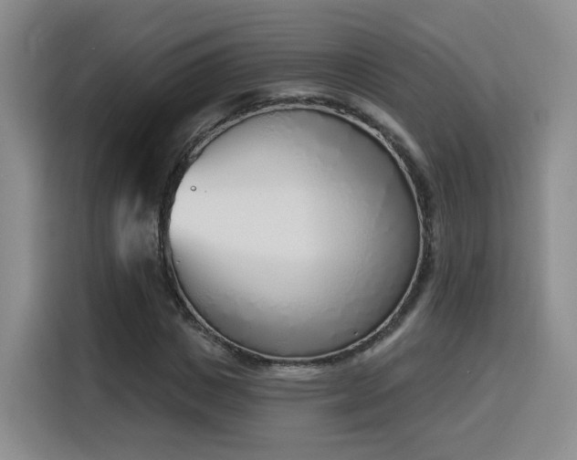 X0000116150825200911231329