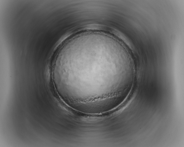 X0000116150829200911231329