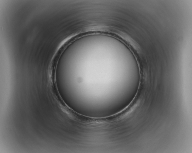 X0000116150830200911231329