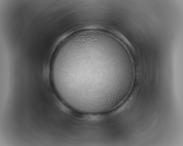 X0000116150831200911231329