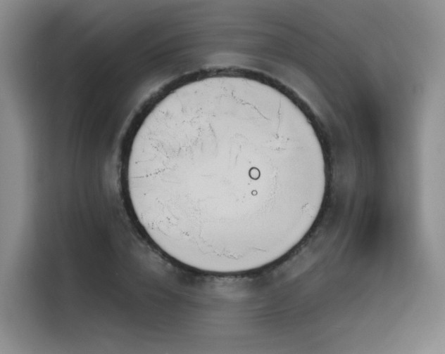 X0000116150832200911231330