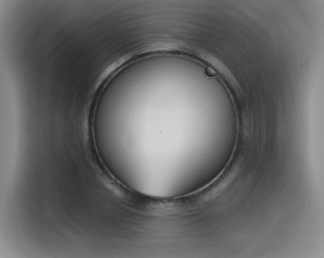 X0000116150834200911231330