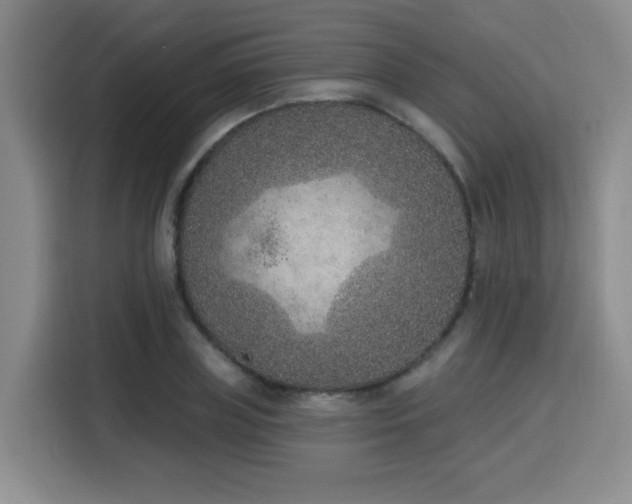 X0000116150835200911231330