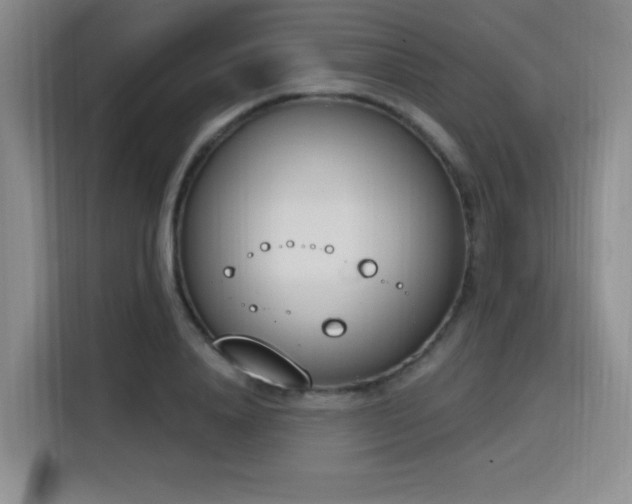 X0000116150840200911231330