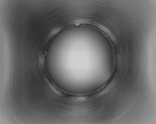 X0000116150841200911231330