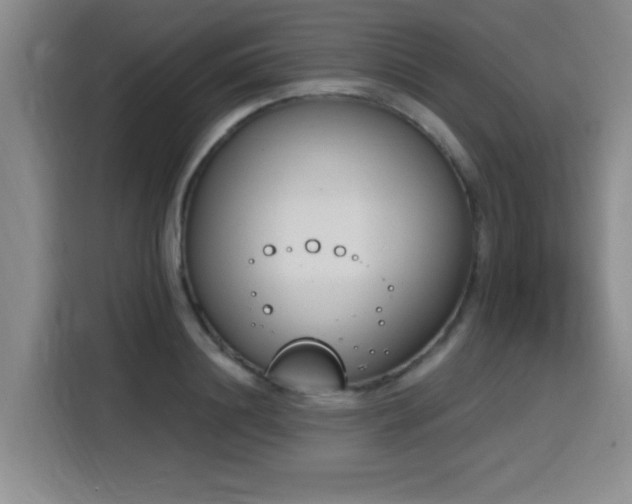 X0000116150844200911231330