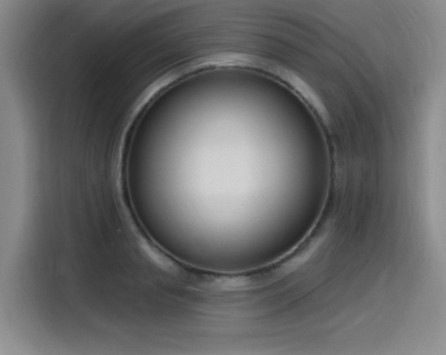 X0000116150845200911231330