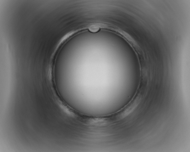 X0000116150846200911231330