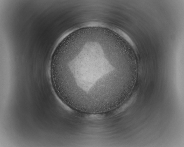 X0000116150847200911231330