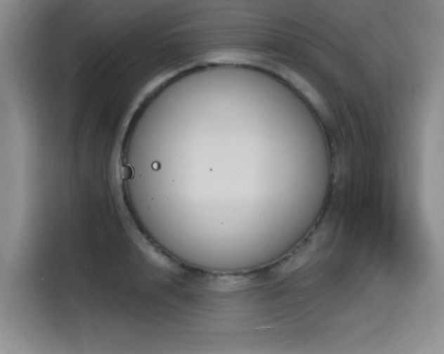 X0000116150848200911231330