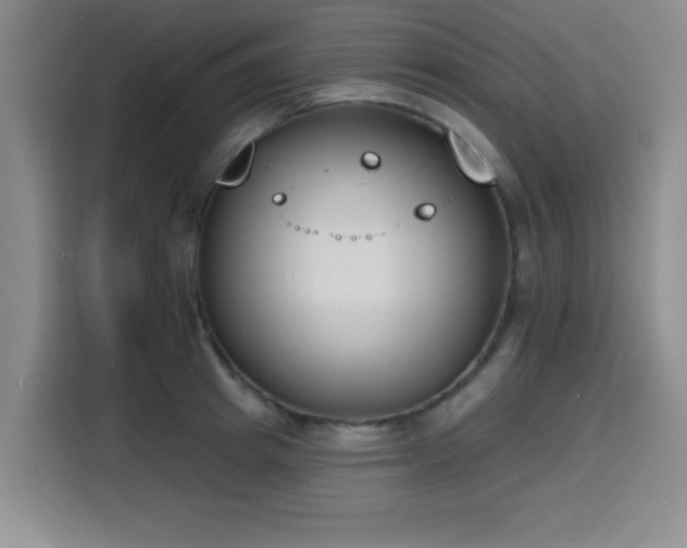 X0000116150849200911231330