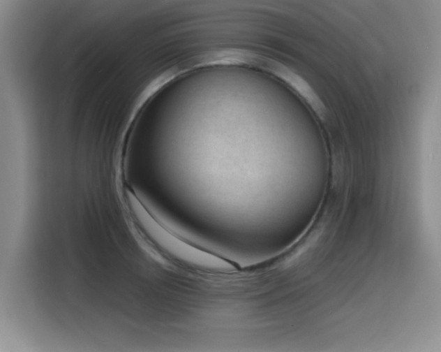 X0000116150850200911231330