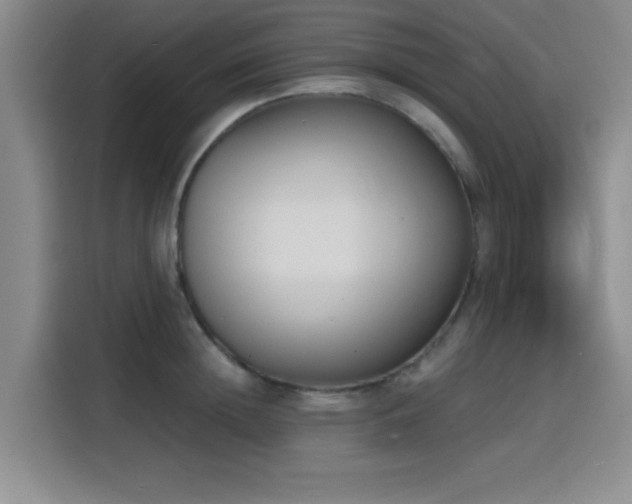 X0000116150852200911231330