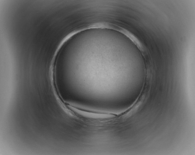 X0000116150854200911231330