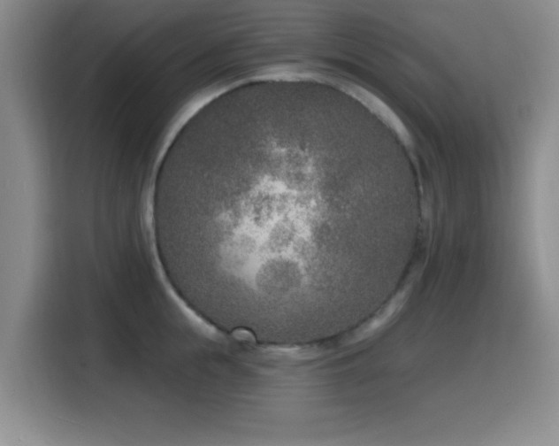 X0000116150855200911231330