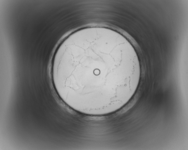 X0000116150856200911231330