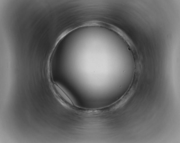 X0000116150858200911231330