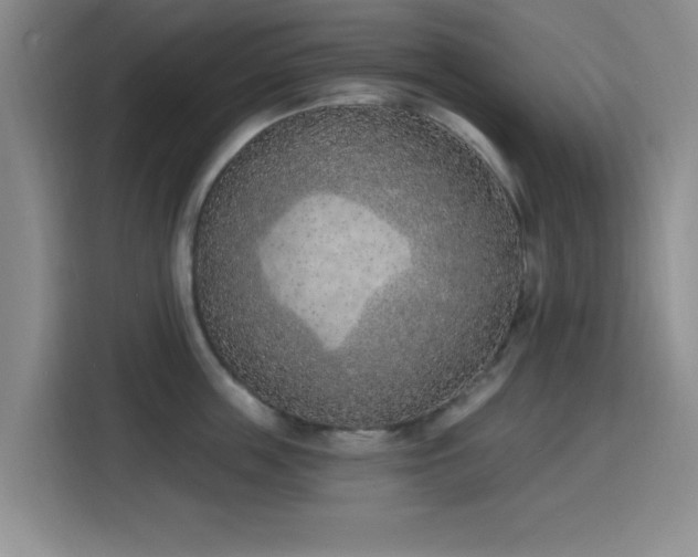 X0000116150859200911231330