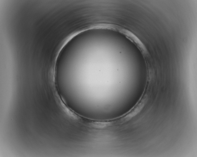 X0000116150860200911231330