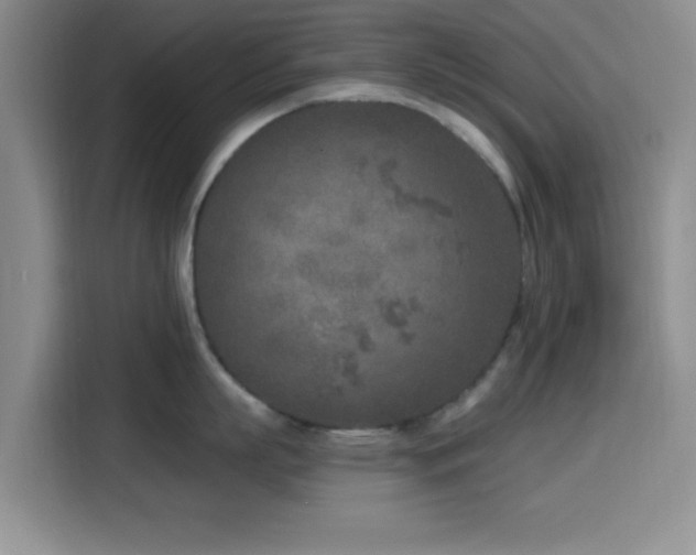 X0000116150863200911231330