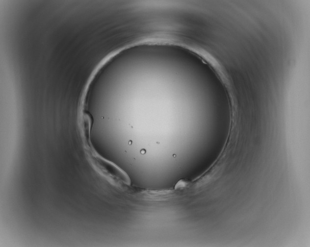 X0000116150864200911231330