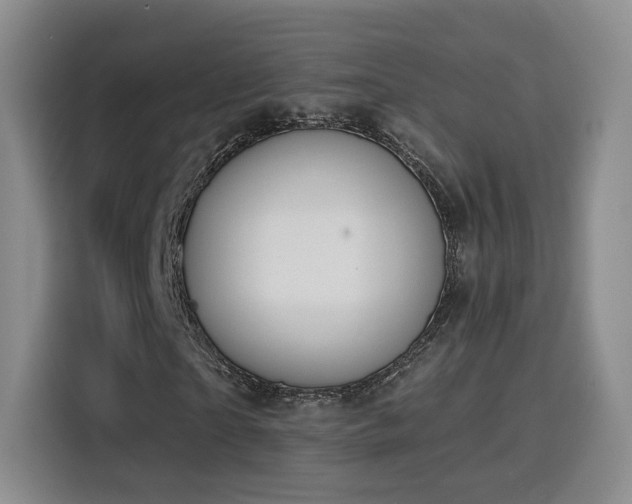 X0000116150865200911231329