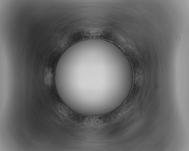 X0000116150866200911231329