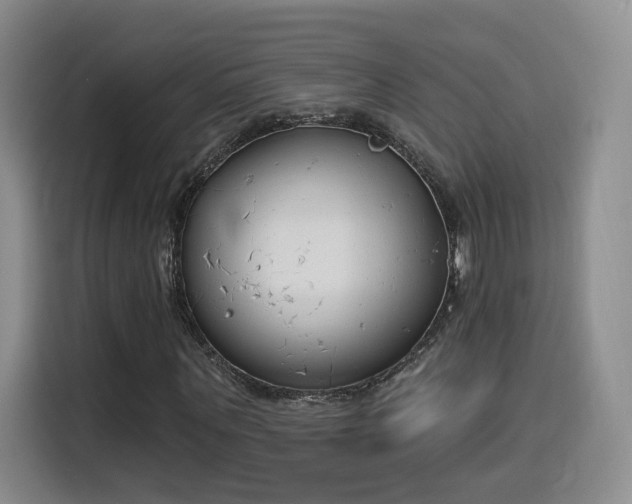 X0000116150867200911231329