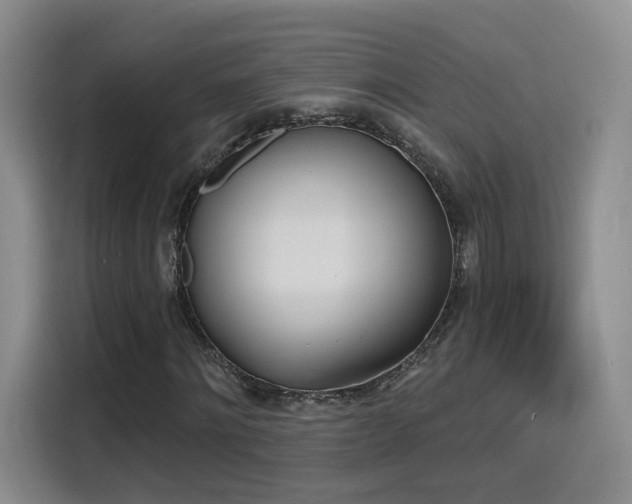 X0000116150868200911231329