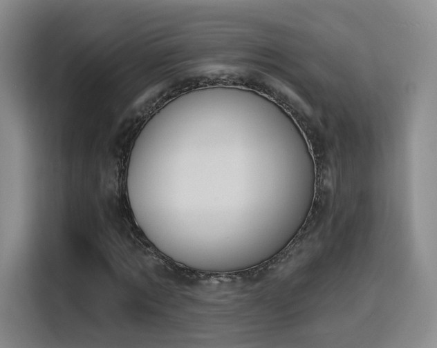 X0000116150869200911231329