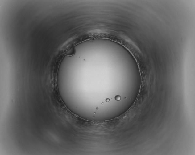 X0000116150870200911231329