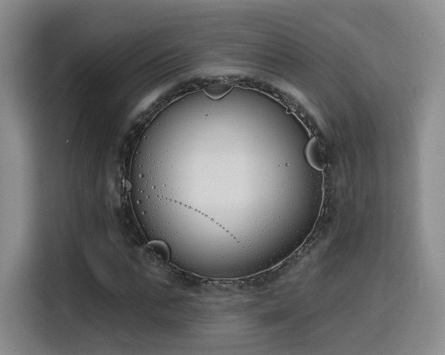 X0000116150871200911231329