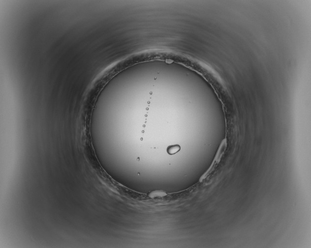 X0000116150872200911231329