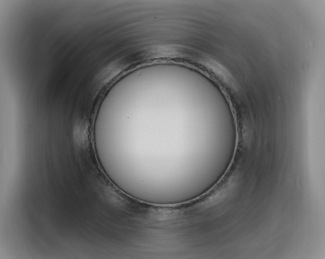 X0000116150873200911231329