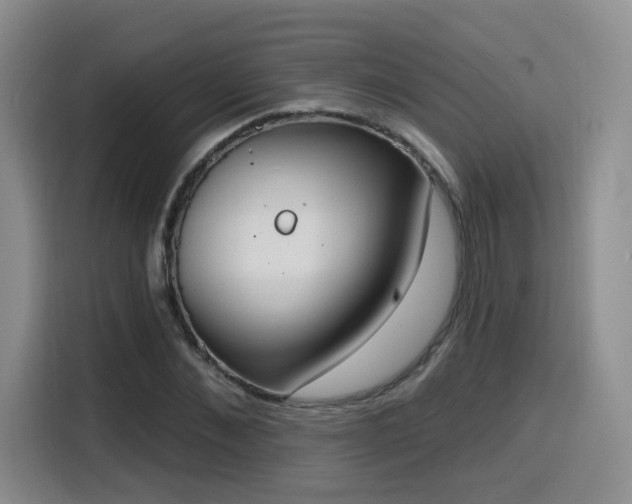 X0000116150876200911231329