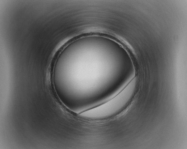 X0000116150877200911231329