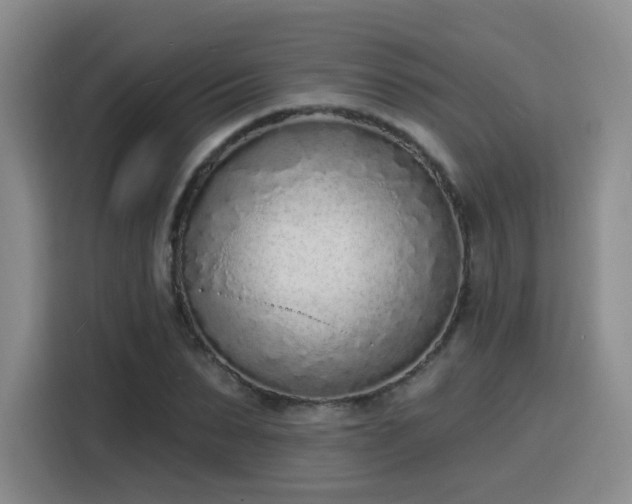 X0000116150879200911231329