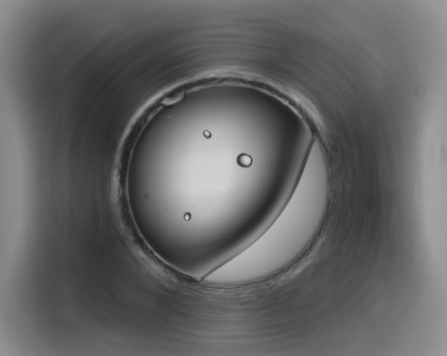 X0000116150880200911231329