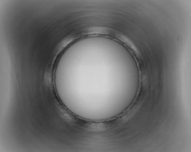 X0000116150882200911231329