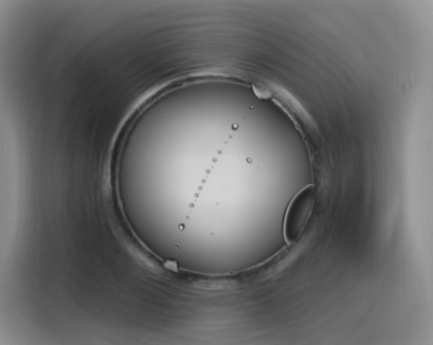 X0000116150884200911231329